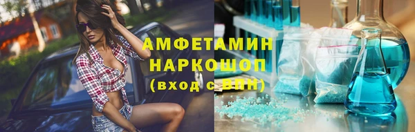 прущие грибы Абинск
