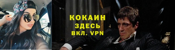 прущие грибы Абинск