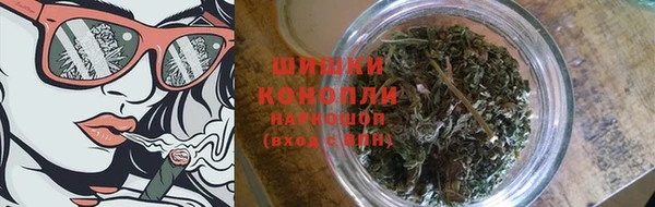 прущие грибы Абинск