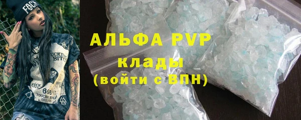 прущие грибы Абинск