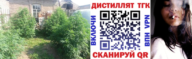ТГК гашишное масло Руза