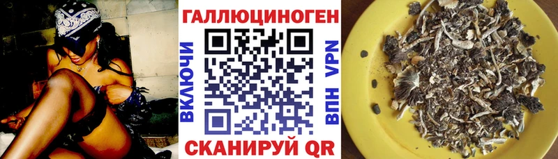 omg как войти  магазин продажи наркотиков  Руза  Псилоцибиновые грибы прущие грибы 